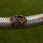 Burst Pipes and Flexi Hoses: Emergency Plumber Advice