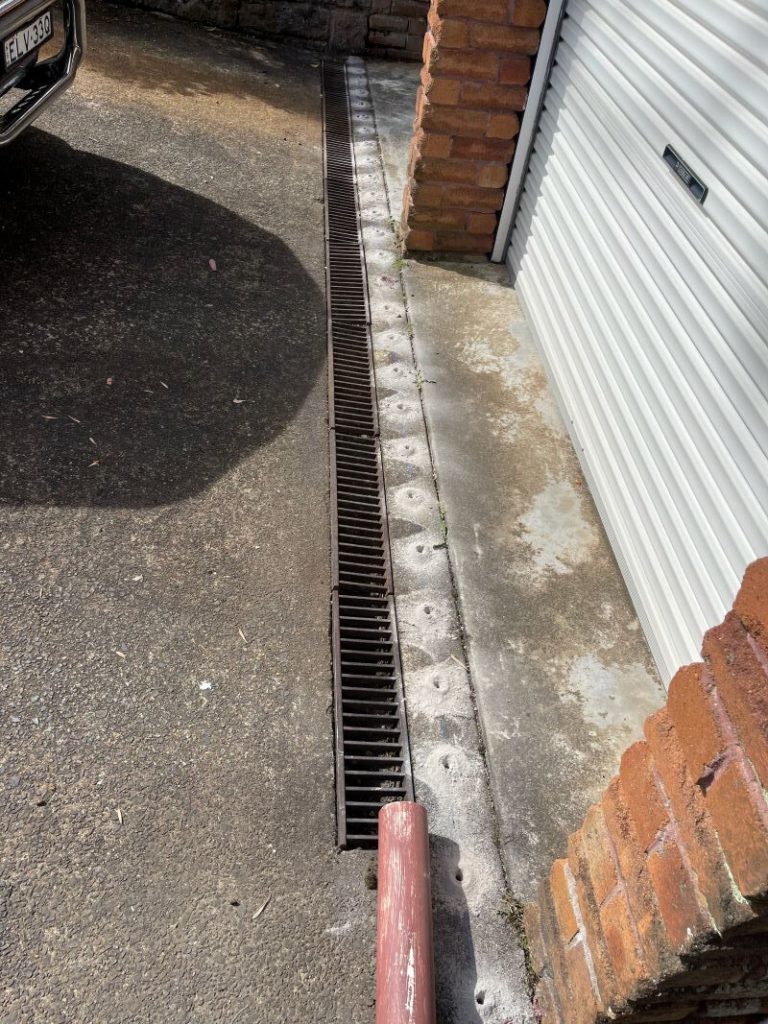 Termite Protection: Essential Coverage Insights for Your Home