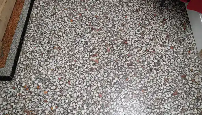 Terrazzo Floors Care: Essential Restoration Tips for Homes