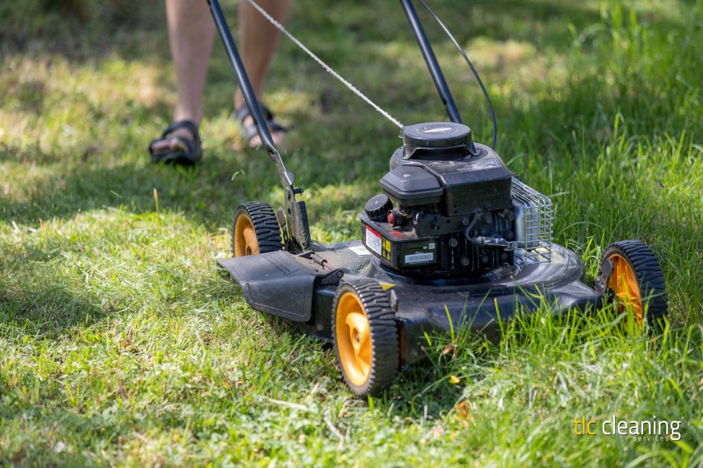 Grass Cutting Services: Tips and Choices for Montacute