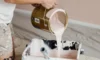 Budget Tips for Exterior Paint Jobs in Sydney’s Humidity