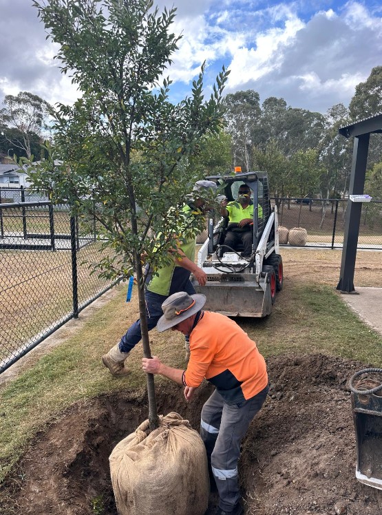 Tree planting in Rutherford