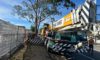 Crane-Assisted Tree Removal in Edgeworth: A Case Study