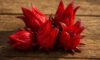 Hibiscus Flowers: Creative Cooking Tips and Techniques