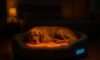 Temperature-Controlled Beds for Pets: Your Comfort Guide