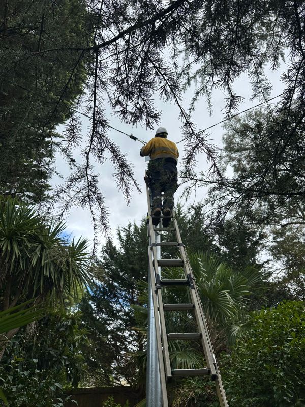 Electrical Defect Notice Response for the Mid North Coast