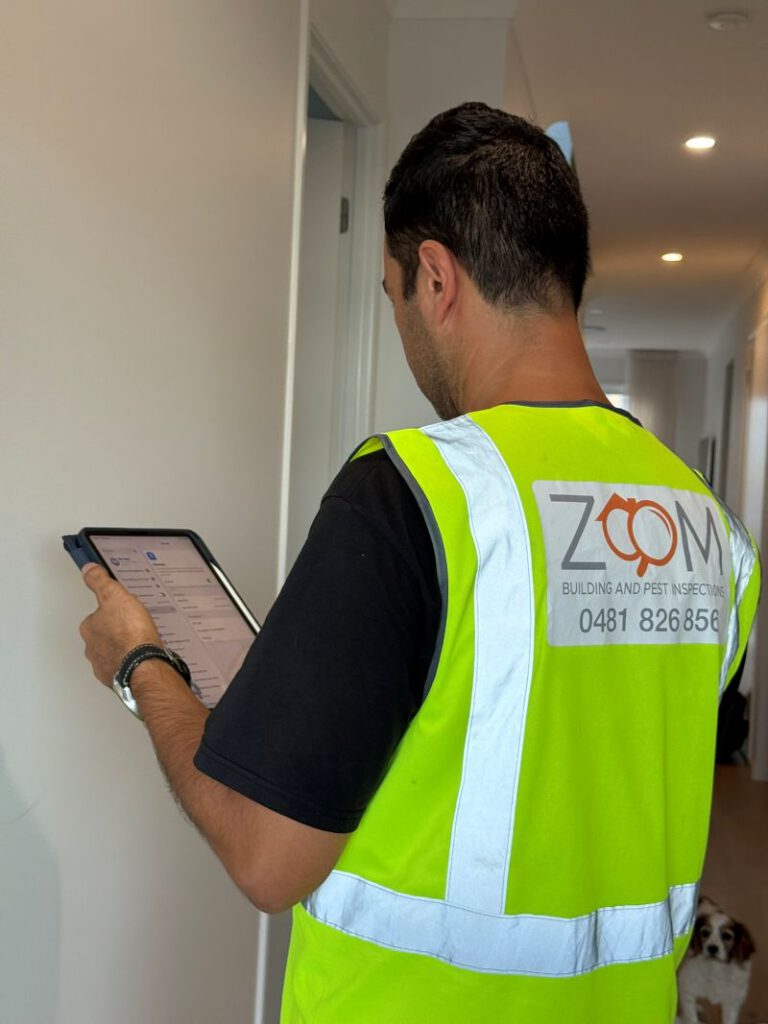 Building and Pest Inspection: A Guide for Brisbane Residents